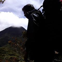 Trackline Sayap Division