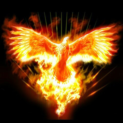 Stream Phoenix Firebird music | Listen to songs, albums, playlists 