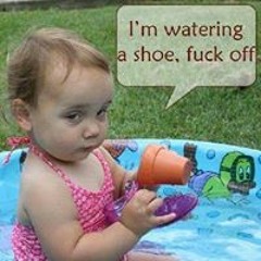 Misty Nichols-Pocock