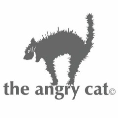 nuco the angry cat