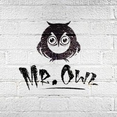 Mr. Owl