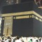 doaa