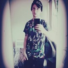 Marc Leanne Ter Avest