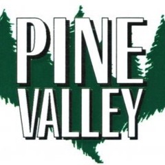 Joe@PineValleyStudio