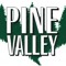 Joe@PineValleyStudio