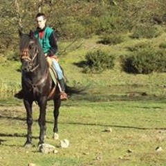 Adrian Meilan Arguelles