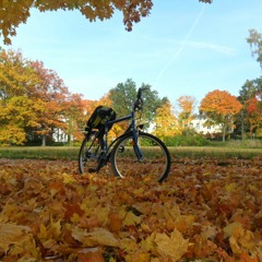 Ermeson Gomes da Silva