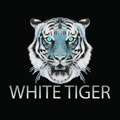 WHITE TIGER RADIO