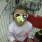 Trino