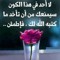 Noura Eldeep