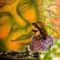 Lucas Ariel Dj set
