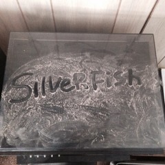 SILVERFISH