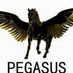 Retiring - Pegasus