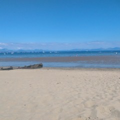 Louis Grape Pickering