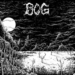 BOG