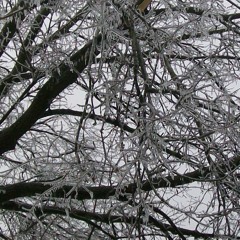 Daniel Stuart Simpson