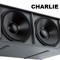Bassbin Charlie