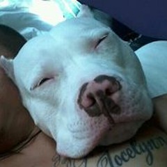 Jorge Enrique Echeverry