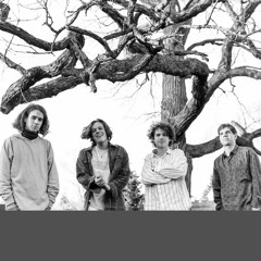 Thirsty Forest Animals