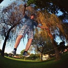 El matador de moscas