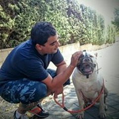 edgar_mqav