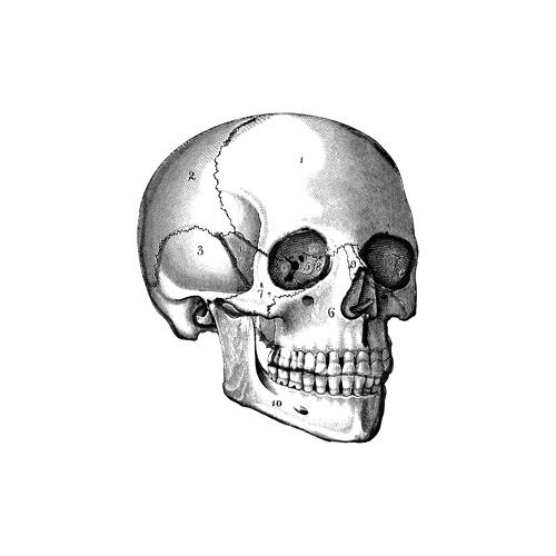 SoundCloud profile picture for @calcium