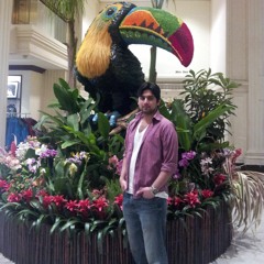 THE_REBORN_KING