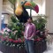 THE_REBORN_KING