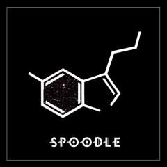 Spoodle