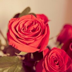 ‫تولين الزهراني‬‎