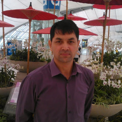 Bashir Hashmi
