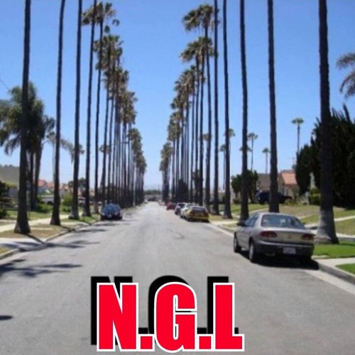 N.G.L(NIGGAS GET LEFT)’s avatar