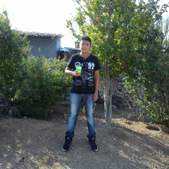 Roberto Gonzales Fuentes