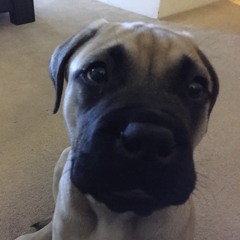 Cute face lollie pop