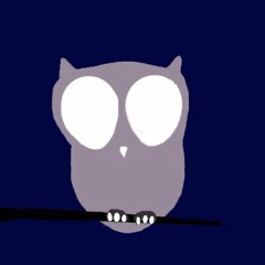 NocturnOWL