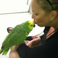 Wendy Brachfeld-stechman