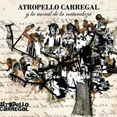 Atropello_Carregal