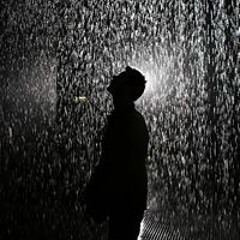 William O'Leary-Cole