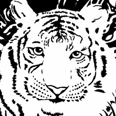 White Tiger Radio