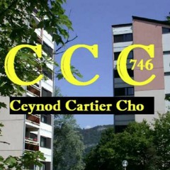 Raphaël Austin'Nelly