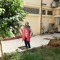 Dina Mostafa