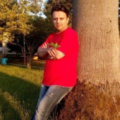 ‫محمد رفيعي‬‎