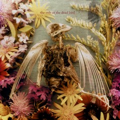 The Cult of the Dead Bird