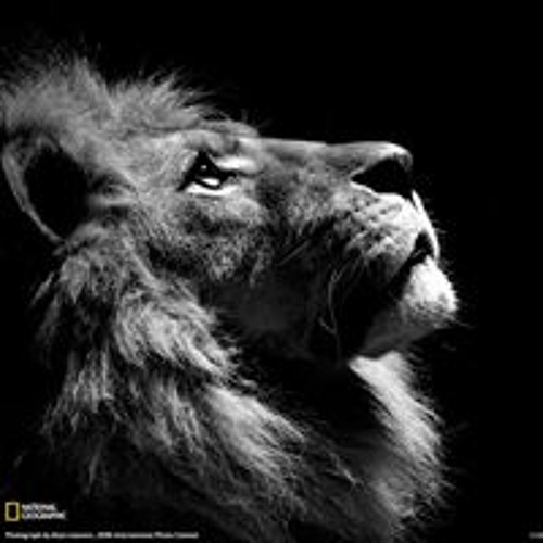 يمه مال الهوا - عيسى السقار( دبكه طرب ) - جديد 2017 اجمل سهرات الشمال الأردنية.mp3