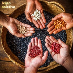 Feijão Coletivo