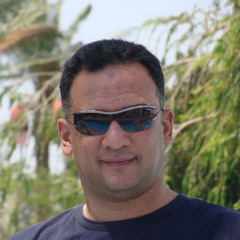 wael taher