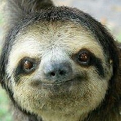 Nelson De Los Cacahuates