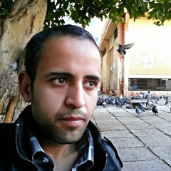 shenouda fauzi