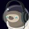 QSeanRay