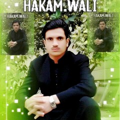 Wali Rehman Shinwari